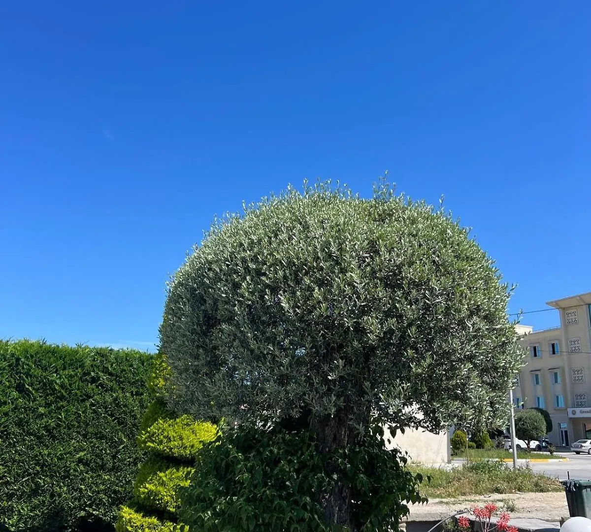 Hotel Kaceli Berat